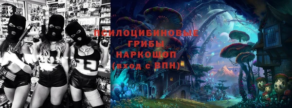 spice Алексин