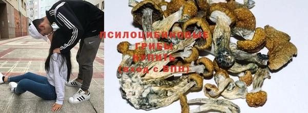 spice Алексин